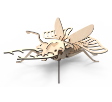 Жук-холостяк