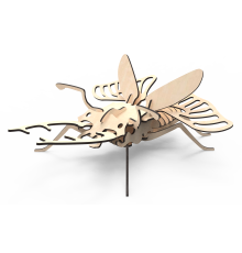 Жук-холостяк